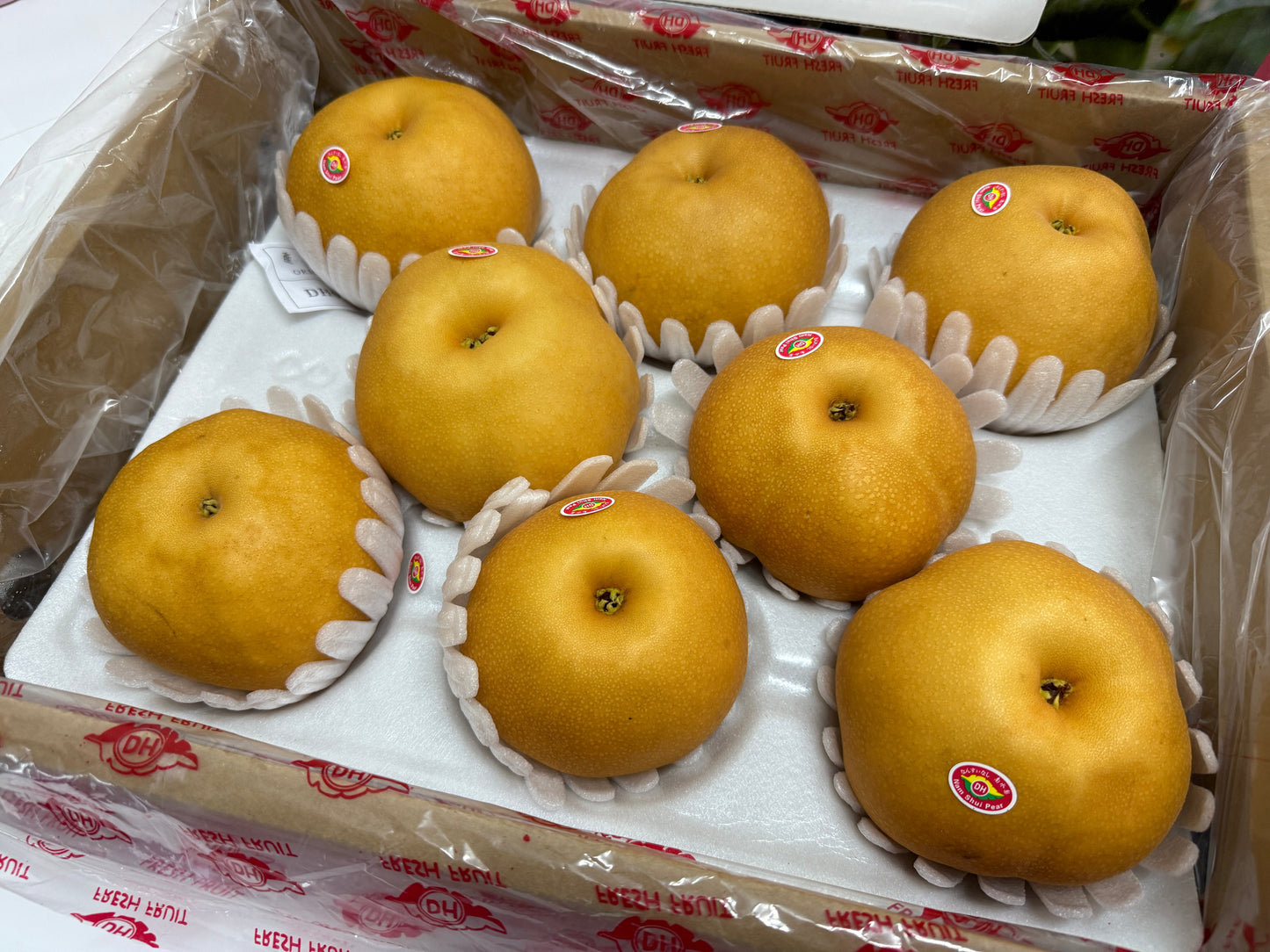 Nan Shui Pear XL (2pc)