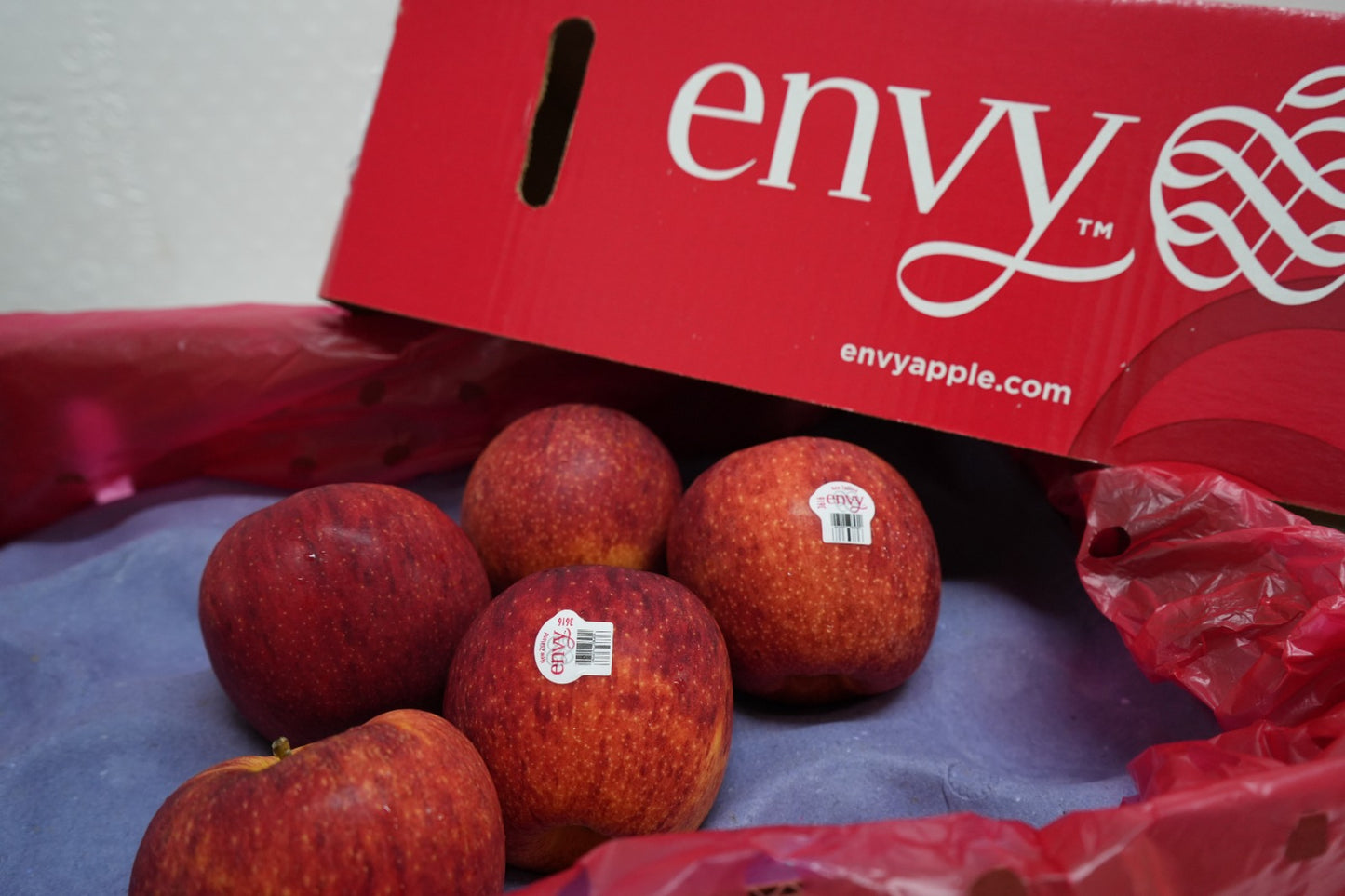 Envy Apple XL